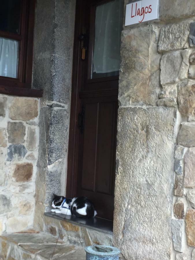 Campiellos La Xamoca Apartamentos Rurales מראה חיצוני תמונה